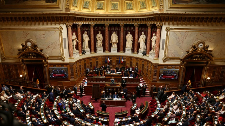 Loi de programmation budg&eacute;taire: le S&eacute;nat tente d'exister, malgr&eacute; le 49.3