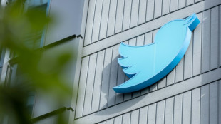 Twitter: apr&egrave;s un essai rat&eacute;, Elon Musk relance une formule d'abonnement