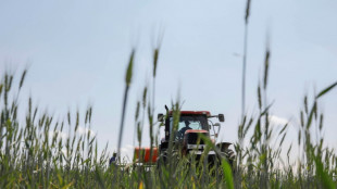 Schonendere Verfahren l&ouml;sen klassischen Pflug in der Landwirtschaft zunehmend ab