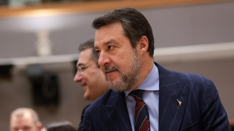 Salvini, stretta Lega? La cittadinanza &egrave; una cosa seria