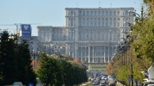 Roumanie : le Parlement s'appr&ecirc;te &agrave; investir le pro-europ&eacute;en Luca Niculescu, apr&egrave;s des mois de crise