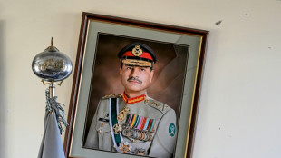 Pakistanisches Parlament stimmt für lebenslange Immunität für Präsidenten