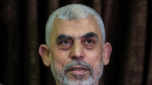 Idf, 'uccisi 3 terroristi a Gaza, forse c'&egrave; Sinwar'