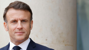 Macron &agrave; Berlin pour une visite d'Etat en pleine campagne des europ&eacute;ennes