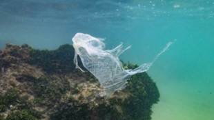 Plastic pollution treaty not dead in the water: UN environment chief