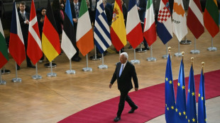 EU-Gipfelteilnehmer fordern Stopp von Angriffen auf Energieanlagen