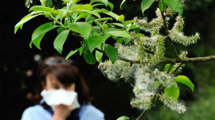 AOK-Umfrage: Mehr als jeder dritte Deutsche erhält Diagnose Allergie