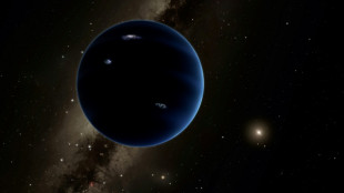 Cientistas acreditam ter encontrado novo planeta anão no sistema solar