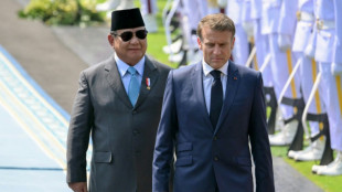 Macron en Indonésie pour vanter sa troisième voie chez un non-aligné historique